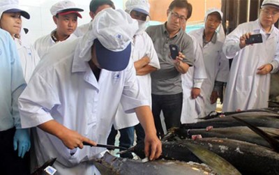 Xuất khẩu cá ngừ của Việt Nam sang Nhật Bản giảm xuống vị trí thứ 6