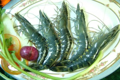 Tôm Việt Nam