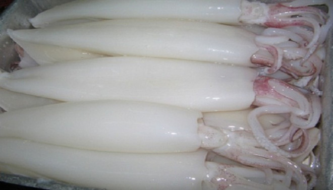 Xuất khẩu mực, bạch tuộc tăng mạnh